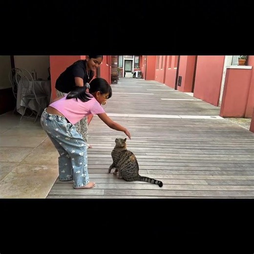 Friendly cats in Italy #tanandtrish #italy #cats