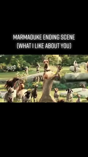 Marmaduke Movie - Dogs Talking and Dancing