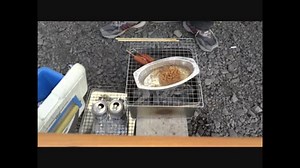 一人BBQ簡易版　【後半】　test動画