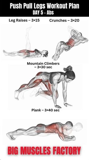 Push Pull Legs Workout Plan DAY 5 – Abs #shorts #viral #Chest #Triceps