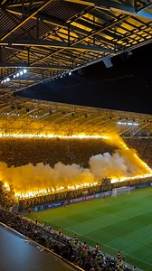 508K views · 9.3K reactions | Football in Germany is just on a different level  | SPORTbible Australia | Facebook