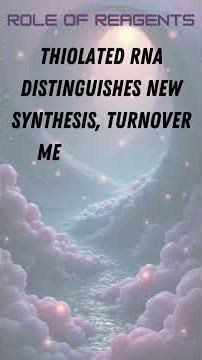 4sU-seq (4-thiouridine RNA Sequencing)