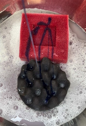 Sponge Squeezing: Laundry vs. Paste Rinses