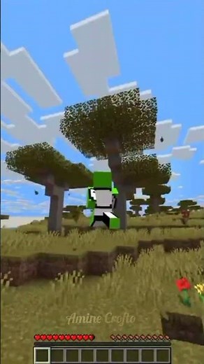 Beginners Guide To Speedrunning Minecraft