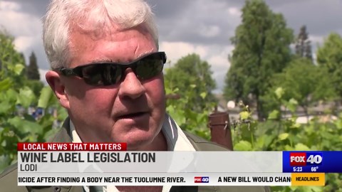 Wine label legislation set to make labels clearer about where products come from