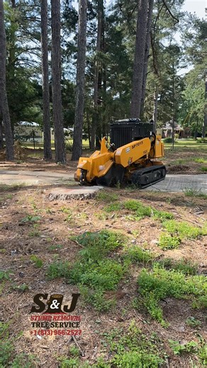 1.5K views · 32 reactions | “Bringing yards back to life one stump at...