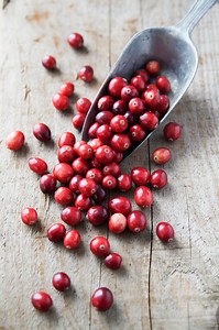 A Vet Explains What to Know Before Feeding Your Dog Cranberries