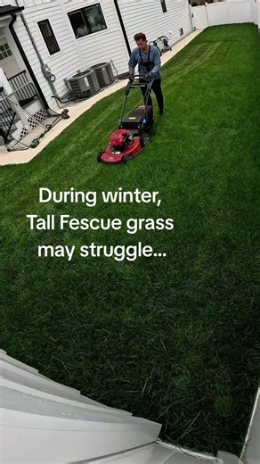 Do this to keep your grass healthy — save to remember. #fyp #Reels #GrassTok #LawnCare #LawnTips