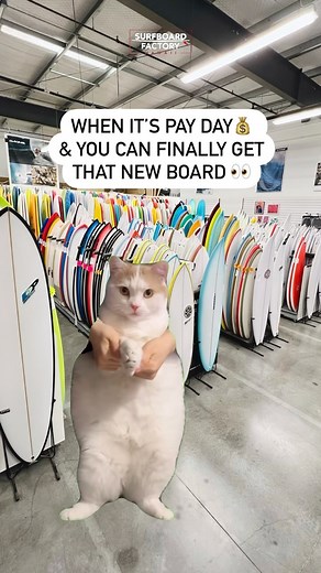 4.5K views | Surfboard Factory Hawaii on Reels | Facebook