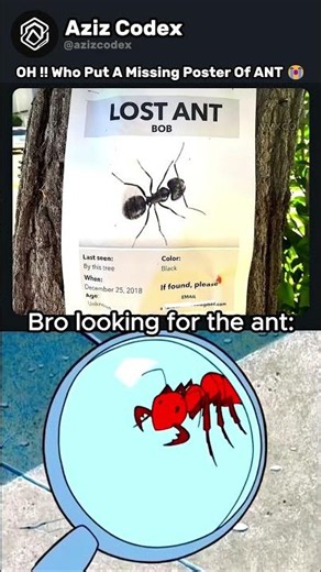 Oh My Ant Is Missing !! #coding #programming #shorts #python