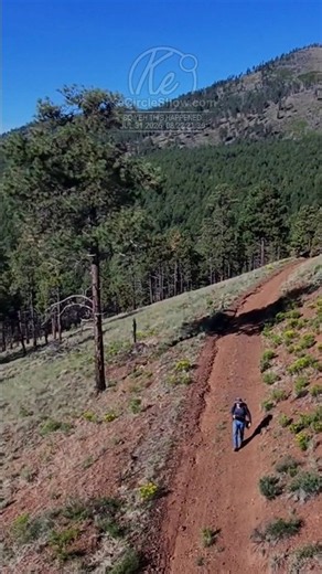 share today's morning walk. 1600 days dispersed camping #nomad #rvlife #vanlife #travel #foryoupage
