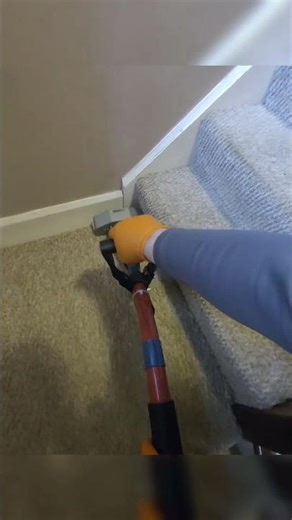 This is why steam cleaning carpets hits different 👀🔥