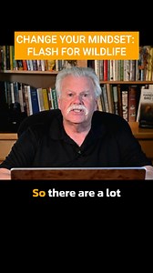 2.1K views |  Think flash isn't for wildlife photography?  It’s time to change your mindset! Watch @MoosePeterson share his game-changing insights on using flash for wildlife. ✨  Want to learn more? Join Moose and 15 other incredible instructors at the Wildlife Photography Conference 2024!  Secure your spot now: https://kel.by/wildphoto24 #WildlifePhotographyConference2024 | KelbyOne | Facebook