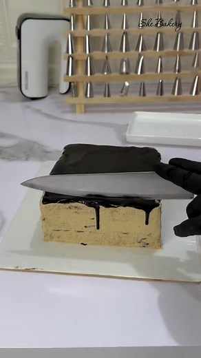 Deliciously Elegant Opera Cake Recipe