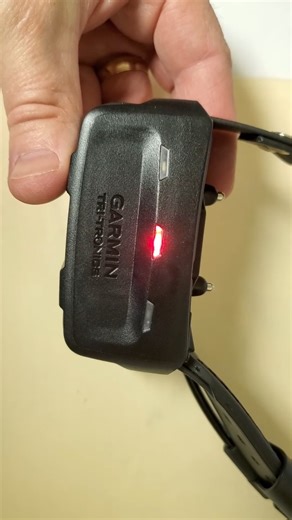 Watch Garmin TT 15X Dog Device, Tracking and Training Dog Device on Amazon Live