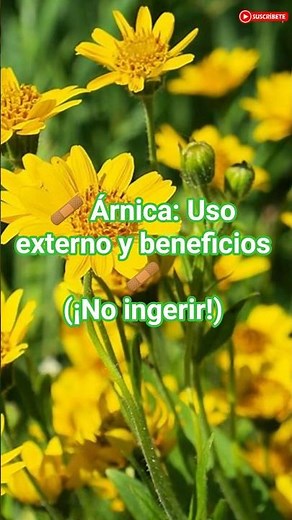 🌿 5 Uses for Arnica (For External Use Only) 🌿