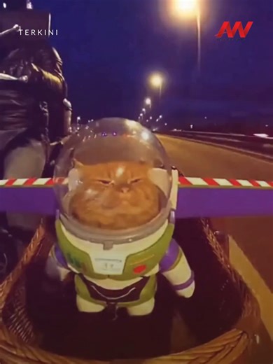 New Buzz Lightyear Cast Announced for Toy Story Fans