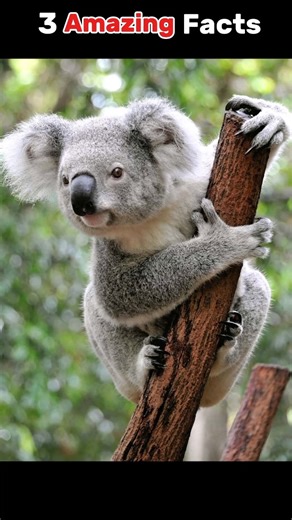 3 ऐसे amazing facts जो 99% लोग नहीं जानते! hindi facts