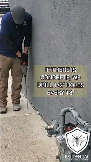 How do you treat for termites? #termites #termitetreatment #pestcontrol #exterminator