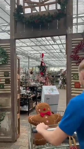 3.8K views · 45 reactions | De kerstmagie is begonnen bij Tuincentrum Roden!  Laat je betoveren door schitterende lichtjes, sfeervolle decoraties en de nieuwste kersttrends. Kom gezellig shoppen en beleef de warme kerstsfeer bij ons in het tuincentrum.  #Niekerk #TuincentrumRoden #Kerstmagie #Kerst #zevenhuizen #WinterDecoratie #eelde #oldekerk #roden #nuis #paterswolde #Norg #zuidhorn #GezelligThuis #leek #peize #tolbert #nietap #nieuwroden | Tuincentrum Roden | Facebook