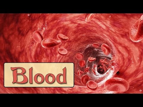 Easy Physiology | Blood | Introduction & Plasma Proteins