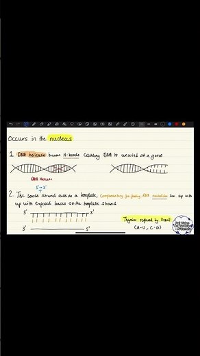 Protein Synthesis Explained!!!