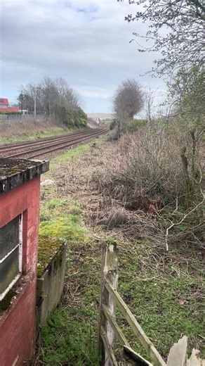 Hst fly by signal box with a tone