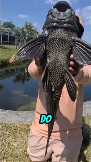 Mexico’s Most Hated FISH