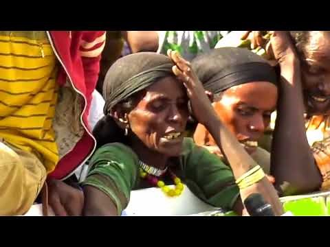 kush media network daily news .Oduu