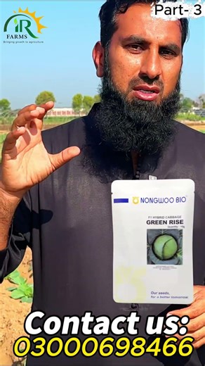 Sirf 3 Khadon Mein Puri Fasal! Band Gobhi Green Rise Variety | Low Cost High Profit Farming