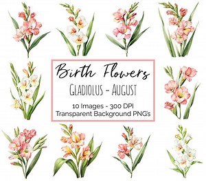 Gladiolus Clipart PNG | August Birth Month Flower | 10 Gladiolus Floral Pngs | Transparent Background | 300 DPI Digital Download - Etsy