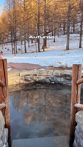 📍Архангай Цэнхэрийн халуун рашаан яг л намраараа налайж байна лээ🍁 📍11 сарын 1-2 ний хооронд зохиогдох 1 шөнө 2 өдрийн аяллын бүртгэл явагдаж байна. -Цөөн суудал үлдсэн тул амжаад бүртгүүлээрэй Алдаж болохгүй дулаан градус тай өдрүүд таарч байгаа🙂‍↔️ ☎️: Аяллын мэдээллийг чатаар болон: 86602019 утсаар лавлана уу✌🏻 #reel #travel #hotspring #mongolia #mongoljin_tour #mongoliatravel | Mongoljin Tour