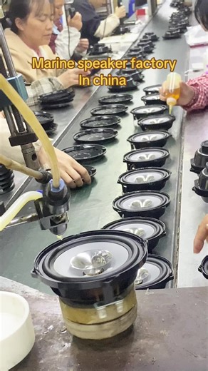 This is speaker manufacturer from china and the speaker production workshop #fyp #speaker #factory #oem #marine