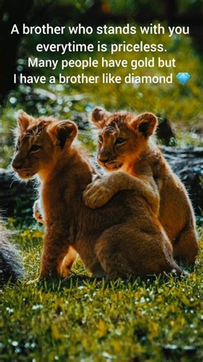 A brother who stands withyou everytime is priceless. #brother #bhai #system #lion #cubes#twins #love