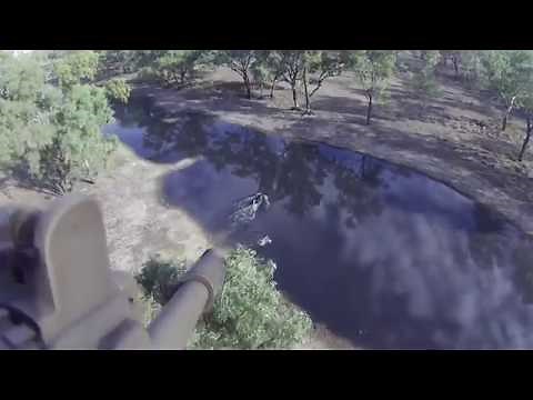 ONE SHOT ONE KILL FERAL HOGS AUSTRALIA