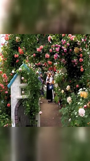 Bloom Connoisseur (@bloomconnoisseur)’s videos with original sound - Bloom Connoisseur