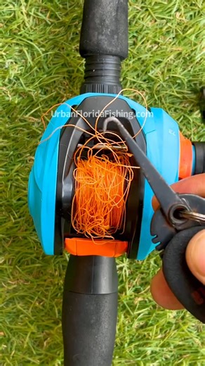 Here is how I fixed my baitcaster after I got the worst backlash ever. I hit some grass behind me while i was casting and boom just like that my day came to an end real quick. Link | Urban Florida Fishing | Facebook