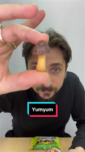 KINOKO vs TAKENOKO: The Ultimate Japanese Snack Debate