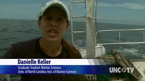 UNC-TV Science:Shark Tagging