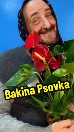 Top 10 Bakinih, a vi dodate u komentar vasu omiljenu! #baka #tiktokbaka #srbijatiktok #foryoupage #fyp #viraltiktok #bakapita