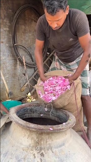 making process of rose flowers perfume