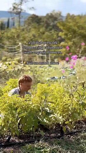 4.9K views · 144 reactions | WWOOFing is so much more than a means to...