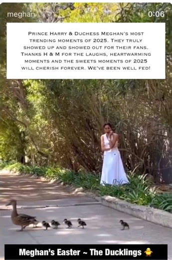 Exploring Harry and Meghan's Journey to 2025