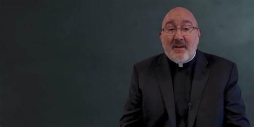 NEW Guide to the Catechism! Fr. Mahan, director of the USCCB’s new Institute on the Catechism, provides concrete answers to questions about God, faith, and the Catholic Church that many people wonder about. He does not shy away from the more challenging questions; when an answer seems difficult, he offers practical advice with compassion and encouragement. This journey through the Catechism, accompanied by the Holy Spirit, will reverberate and gently pull at the hearts of readers to remind them 
