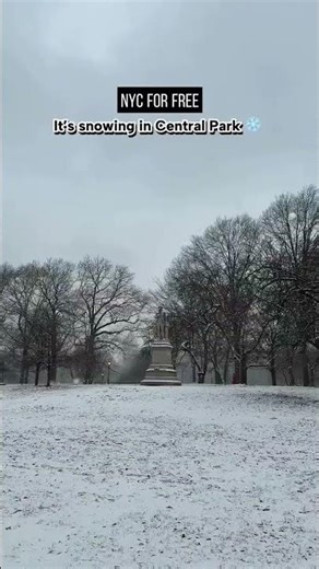 It’s snowing in Central Park today! The first snow of the season where it’s actually sticking! Go