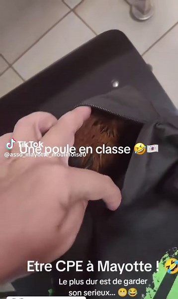 Les vidéos drôles de l'école à Mayotte