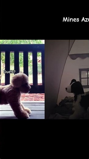 Mines Azure :3 #essa #emotionalsupport