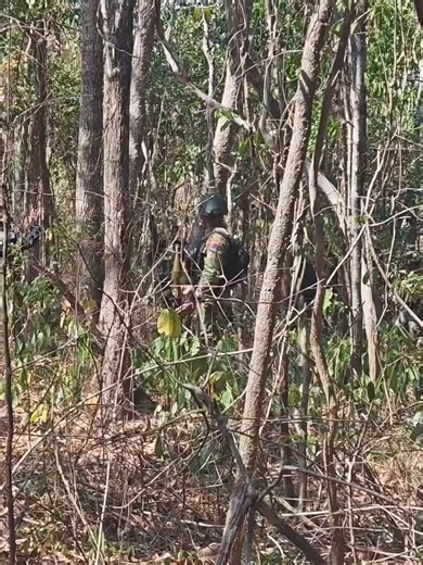 16/02/2026​ Thai thieves have started to steal Cambodian territory again.