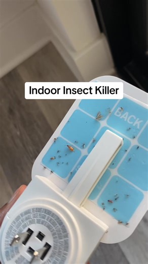 Indoor Insect Killers that actaully work! #bugzapper #mosquitokiller #insecttrap #amazonfinds 🦟🪤💥