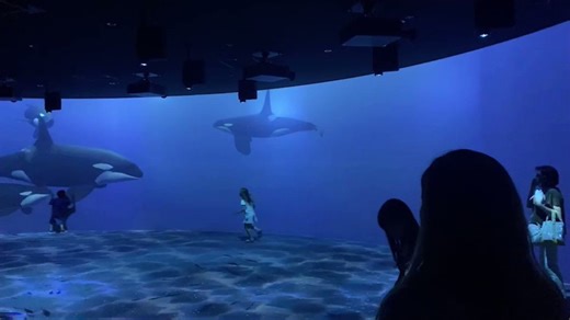 展示が無くなったら、市民がその種への関心を失って保護保全が衰退するという指摘もあるシャチやラッコは数十年展示されたが、個体の人気ばかりで保護保全への関心が高まった気がしない今なら代替展示もある自然での暮らしを再現でき、環境負荷も低く、低コストでもある